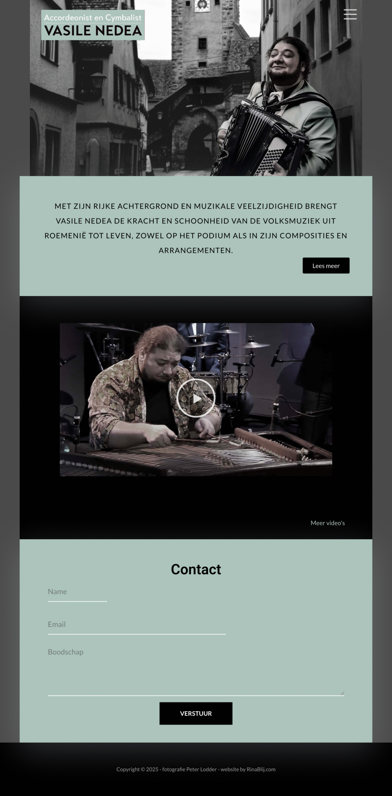 ons werk: webite van Vasile Nedea